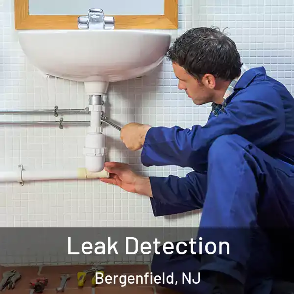  Leak Detection Bergenfield, NJ