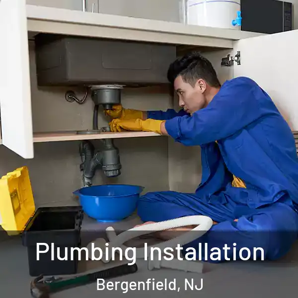  Plumbing Installation Bergenfield, NJ