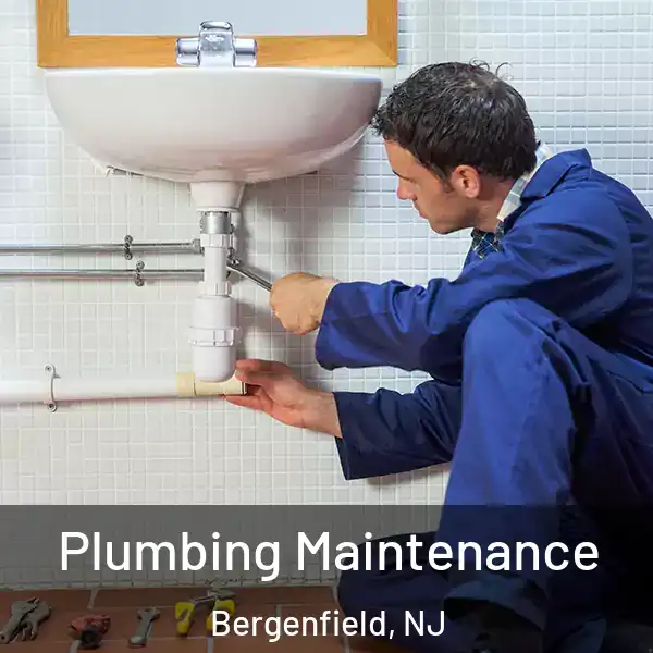  Plumbing Maintenance Bergenfield, NJ