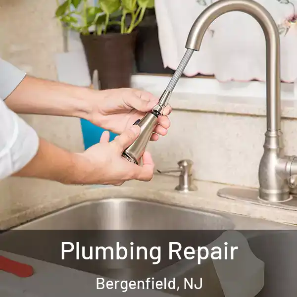  Plumbing Repair Bergenfield, NJ