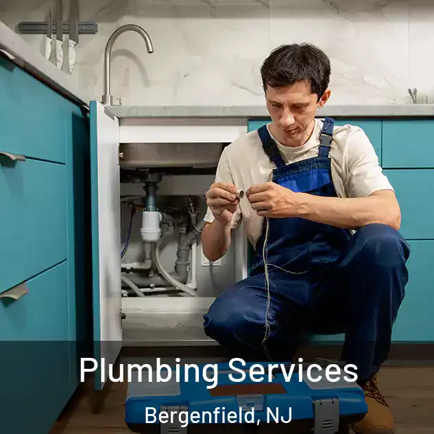  Plumbing Services Bergenfield, NJ