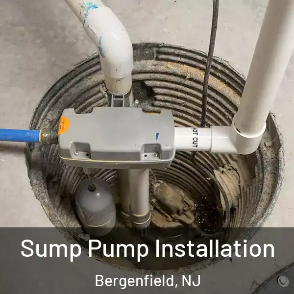  Sump Pump Installation Bergenfield, NJ