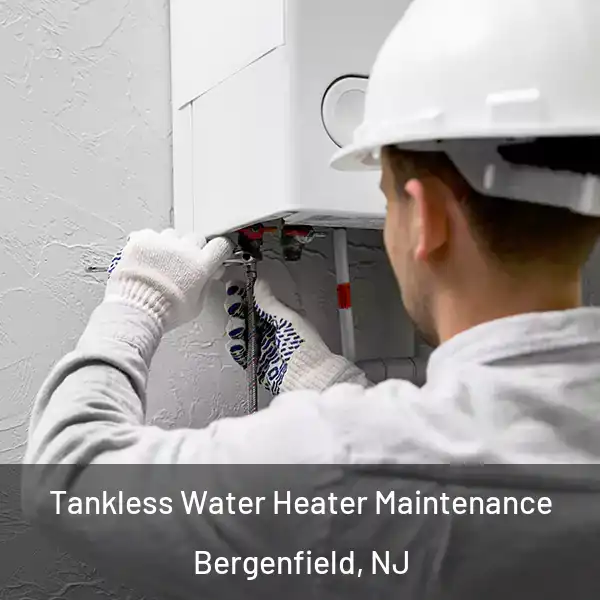  Tankless Water Heater Maintenance Bergenfield, NJ