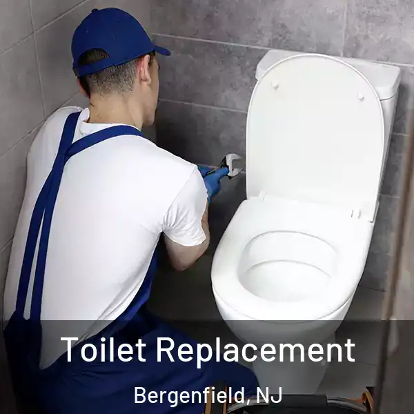  Toilet Replacement Bergenfield, NJ
