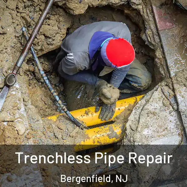  Trenchless Pipe Repair Bergenfield, NJ